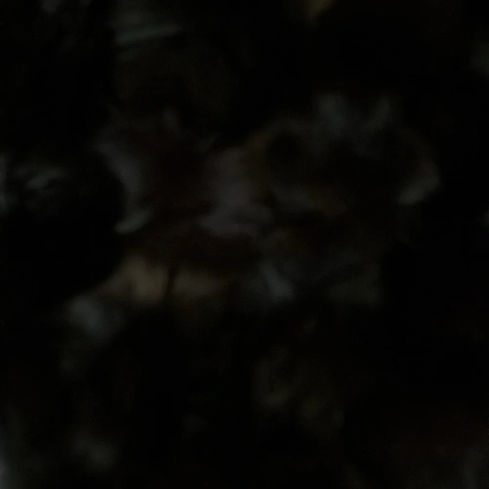 100% Rabbit Fur Pom Pom Scarf w Shawl  - Black & Brown Cejon Accessories ??